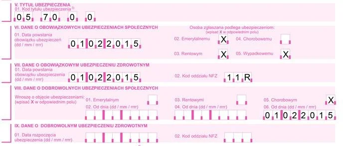 Jak wypełnić formularz ZUS ZUA – Mala-Firma.pl