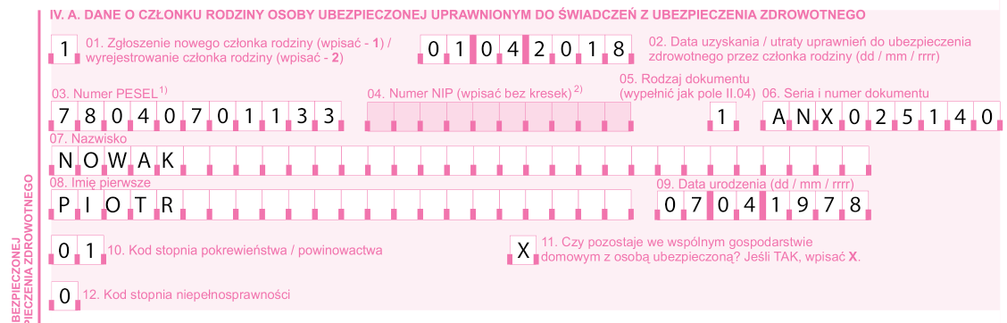 ZUS ZCNA - wzór wypełnienia