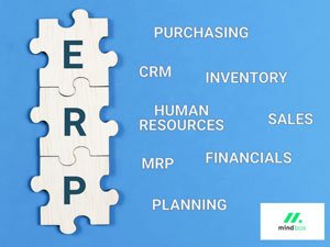 ERP dla małego biznesu – najważniejsze wiadomości