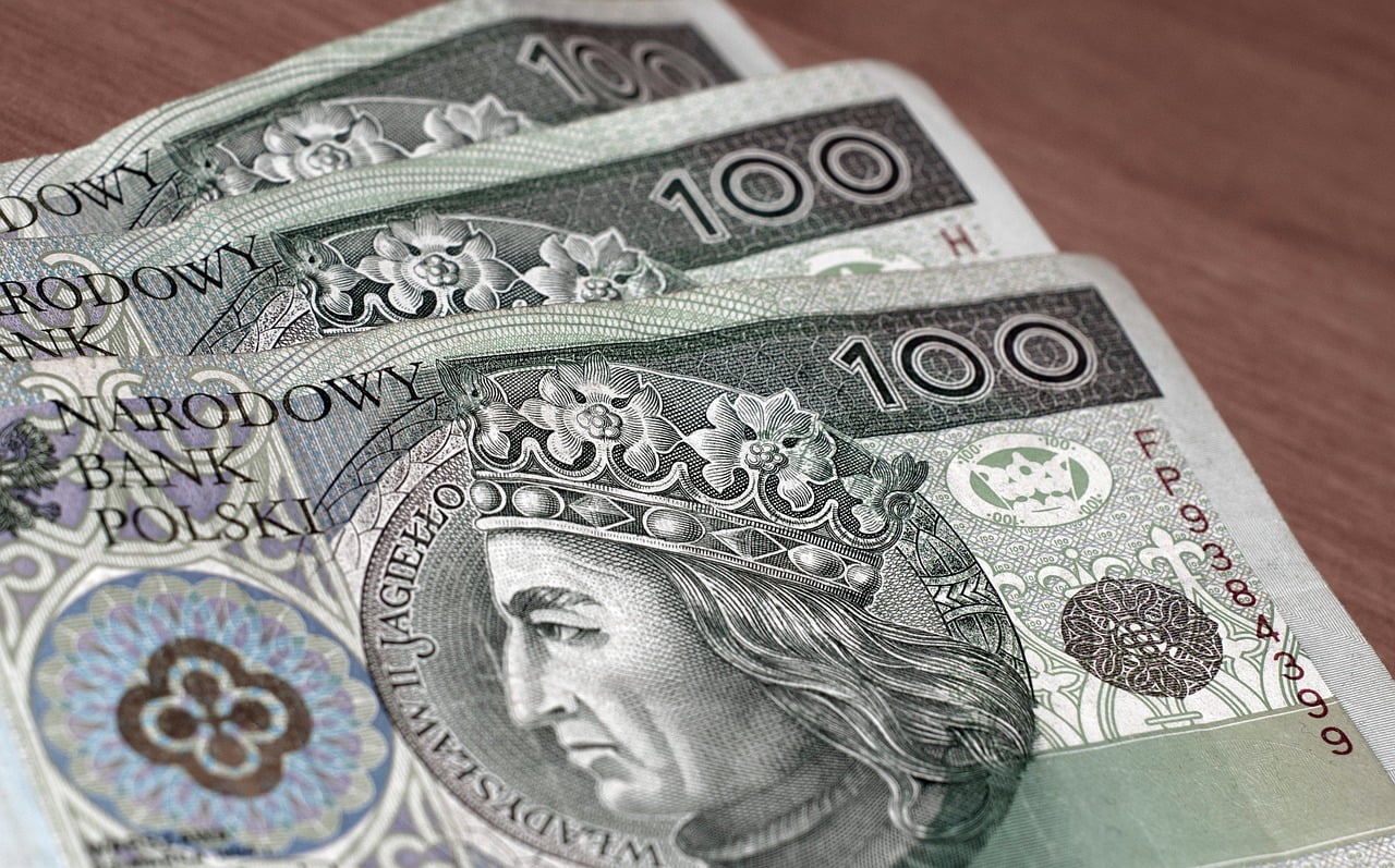 Umorzenie z urzędu mikropożyczki dla przedsiębiorców 1 money, banknotes, polish zloty