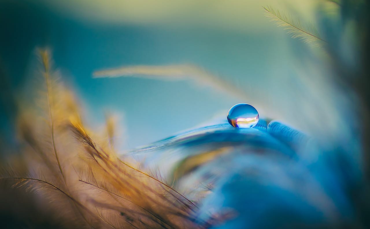 Równowaga między firmą a życiem: jak budować work-life balance w małym biznesie 1 droplet, feathers, blue, orange, feather, colorful, still, peaceful, mood, resting, tranquil, balance, feather, peaceful, peaceful, peaceful, peaceful, balance, balance, balance, balance, balance