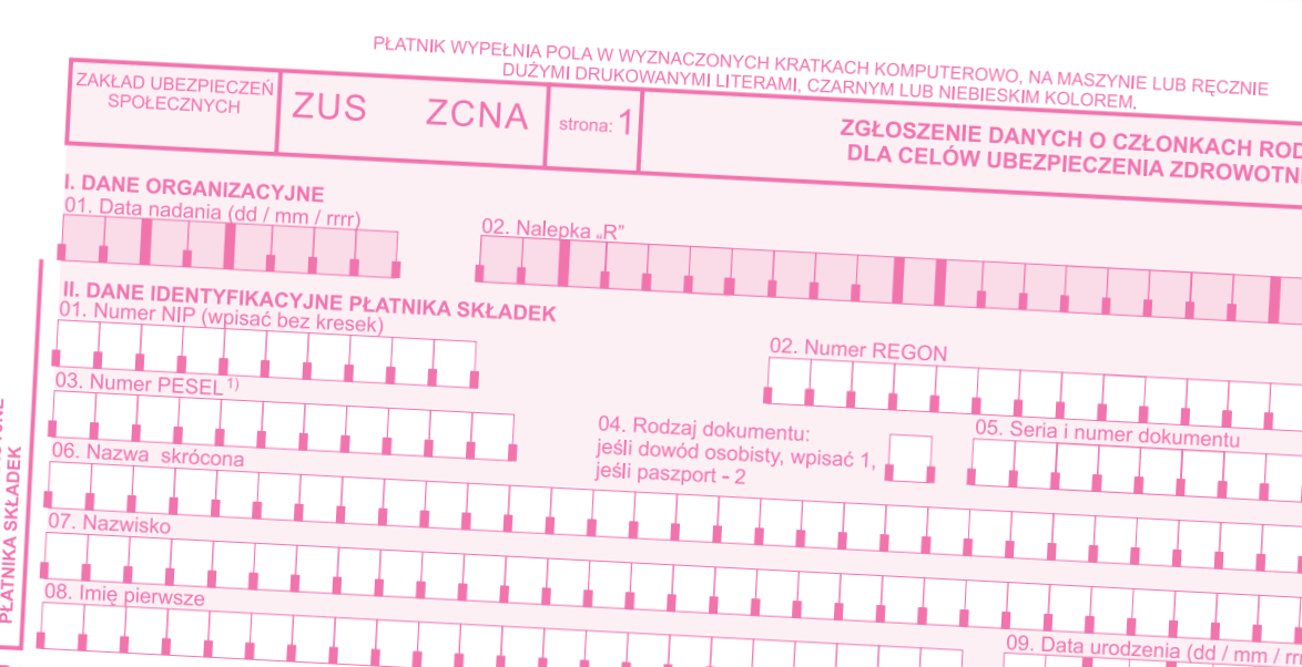 Jak wypełnić formularz ZUS ZCNA 1 ZUS ZCNA