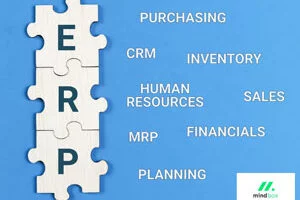 ERP dla małej firmy