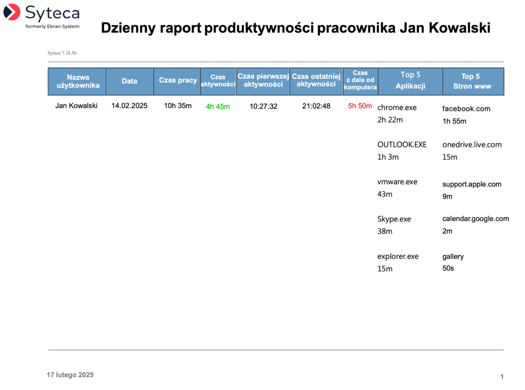 raportsyteca podsumowanieproduktywnosciuzytkownika17 02 2025 png