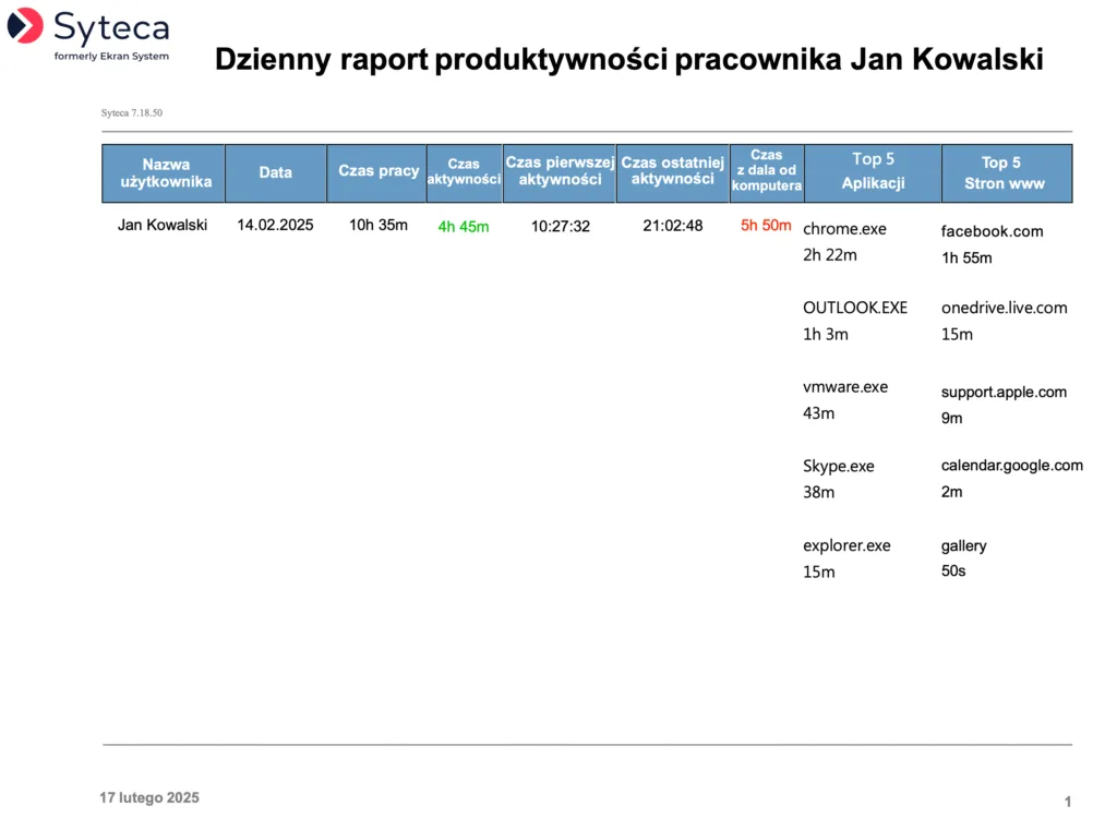 raportsyteca podsumowanieproduktywnosciuzytkownika17 02 2025 png